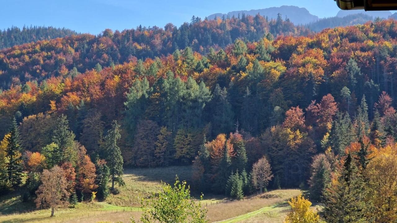 Akra Apartamento Zakopane Exterior foto