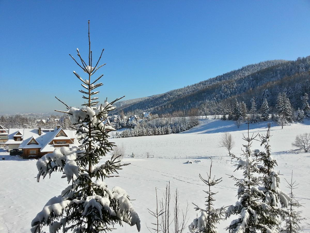 Akra Apartamento Zakopane Exterior foto